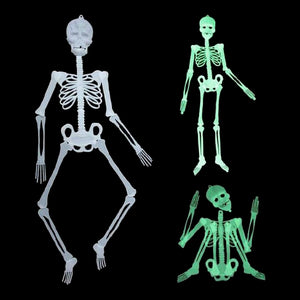 Halloween Glow In The Dark Skeleton